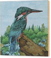 Kingfisher Wood Print