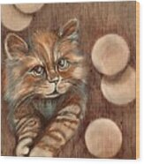 Kitten And Bubbles Wood Print
