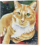 Kitty Marmalade Cat Portrait Wood Print