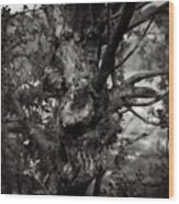 Knarly Tree Wood Print