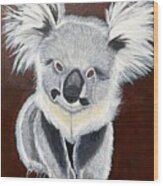 Koala Bear-teddy K Wood Print