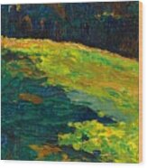 Kochel - Mountain Meadow At The Edge Of The Forest 1902 Wood Print