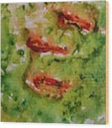 Koi Pond Wood Print