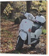 Kymco 125 In The Forest Wood Print