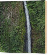 La Fortuna Waterfall Wood Print