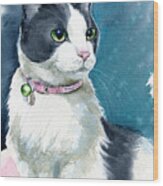 Lady Tuxedo Cat Painting Wood Print