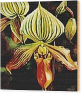 Ladyslipper Orchid Wood Print