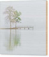 Lake Lamar Bruce Fog Saltillo Mississippi Wood Print