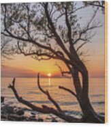 Lake Ontario Sunset Wood Print