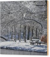 Lakeside Winter Wood Print