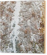 Landscape Photography  - Winter Hiking Trails Wood Print
