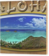 Lanikai Bellows Wiamanalo And Kailua Beach From Above Surf Board Wood Print