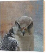 Lanner Falcon Wood Print