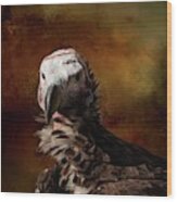 Lappet-faced Vulture-2 Wood Print
