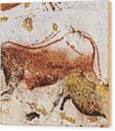 Lascaux Cows Horses And Deer Wood Print