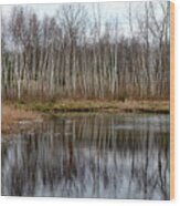 Late Fall Reflection At Canadian Lakes Wood Print