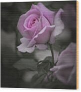 Lavender Rosebud Desaturated Wood Print