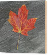 Leaf On Fire Wood Print