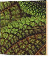 Leafy Textures Wood Print