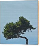 Leaning Pine Wood Print