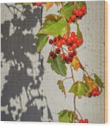 Leaves And Fruit Wood Print