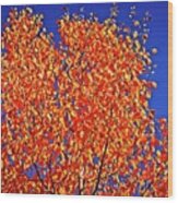 Leaves Of Orange Wood Print