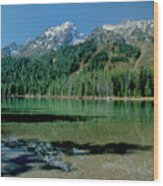 Leigh Lake Grand Tetons National Park Wyoming Wood Print