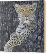 Leopard Lookout Wood Print