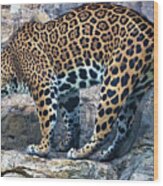 Leopard Wood Print