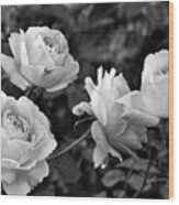 Let Me Take You To Fields Of Roses 002 Bnw Wood Print