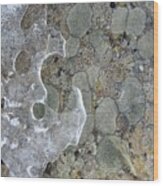 Lichen And Ice Wood Print
