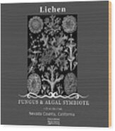 Lichen Wood Print