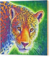 Light In The Rainforest - Jaguar Wood Print