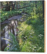 Relaxing Ambience On The River Bank Wood Print