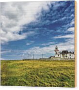 Lighthouse On Loop Head Peninsula  In Ireland Wood Print