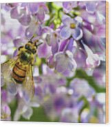 Lilac Bee Wood Print