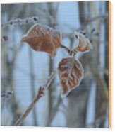 Lilac Leaves Wood Print