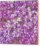 Lilacs Wood Print