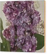 Lilacs Wood Print