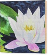 Lilly Pad Flower Wood Print