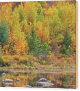 Lily Pond In The New Hampshire White Mountains Wood Print