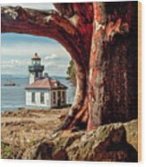 Lime Kiln Lighthouse Wood Print