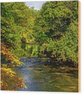 Linville River In Autumn Wood Print