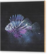 Lion Fish Study Wood Print
