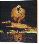 Lion Of Judah Roar 2 Wood Print