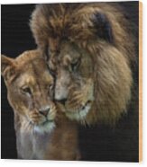 Lion Romance Wood Print