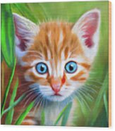 Little Blue Eyes  - Orange Tabby Kitten Wood Print