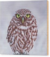 Little Owl, Mixed Media. Wood Print
