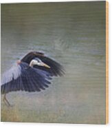 Little Pigeon River Blue Heron Wood Print