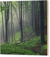 Living Forest Wood Print